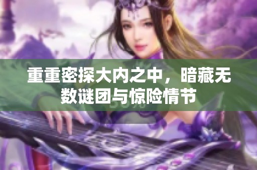 重重密探大内之中，暗藏无数谜团与惊险情节