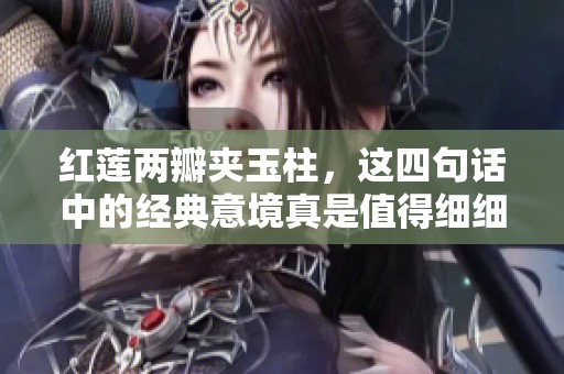 红莲两瓣夹玉柱，这四句话中的经典意境真是值得细细品味与思考