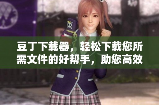 豆丁下载器，轻松下载您所需文件的好帮手，助您高效工作与学习
