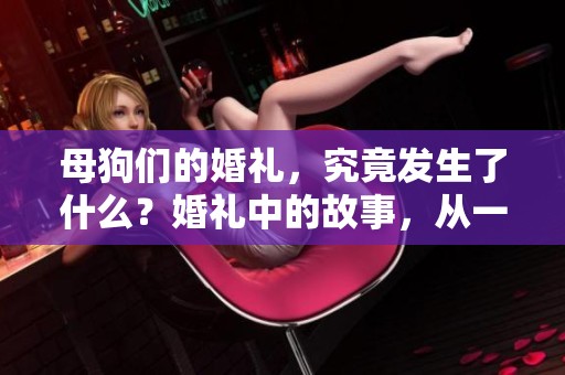 母狗们的婚礼，究竟发生了什么？婚礼中的故事，从一到三让人惊奇。