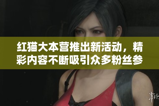 红猫大本营推出新活动，精彩内容不断吸引众多粉丝参与与关注