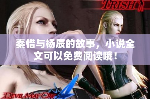 秦惜与杨辰的故事，小说全文可以免费阅读哦！