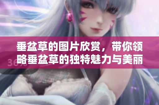 垂盆草的图片欣赏，带你领略垂盆草的独特魅力与美丽风采