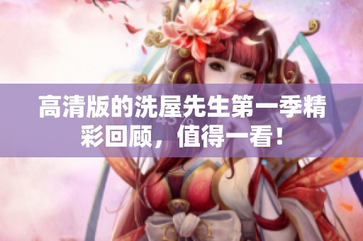 高清版的洗屋先生第一季精彩回顾，值得一看！