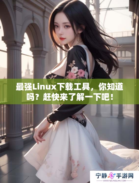 最强Linux下载工具，你知道吗？赶快来了解一下吧！