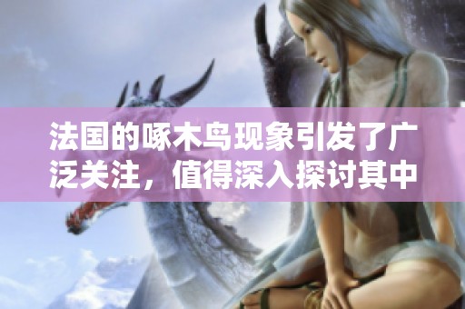 法国的啄木鸟现象引发了广泛关注，值得深入探讨其中的奥秘与影响。