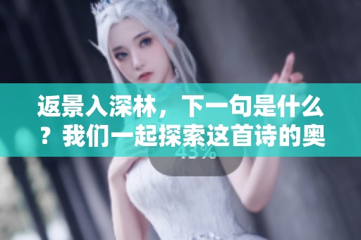 返景入深林，下一句是什么？我们一起探索这首诗的奥秘吧！