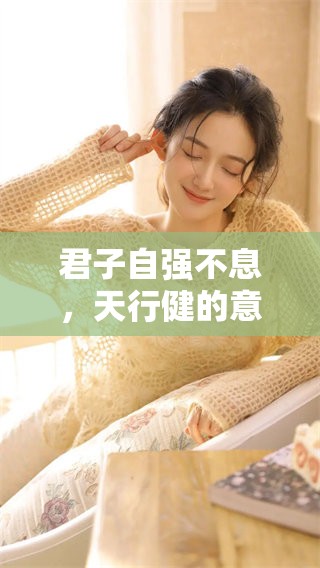 君子自强不息，天行健的意义是什么呢