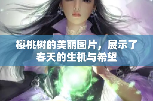 樱桃树的美丽图片，展示了春天的生机与希望