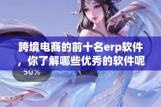 跨境电商的前十名erp软件，你了解哪些优秀的软件呢