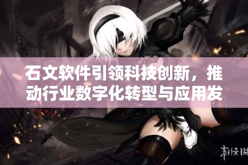 石文软件引领科技创新，推动行业数字化转型与应用发展