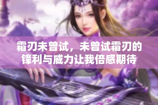 霜刃未曾试，未曾试霜刃的锋利与威力让我倍感期待