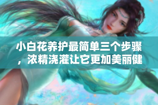 小白花养护最简单三个步骤，浓精浇灌让它更加美丽健康