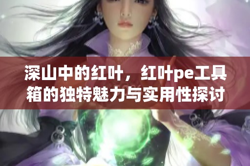 深山中的红叶，红叶pe工具箱的独特魅力与实用性探讨