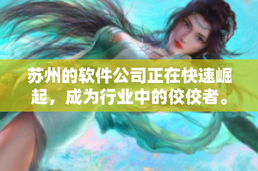 苏州的软件公司正在快速崛起，成为行业中的佼佼者。