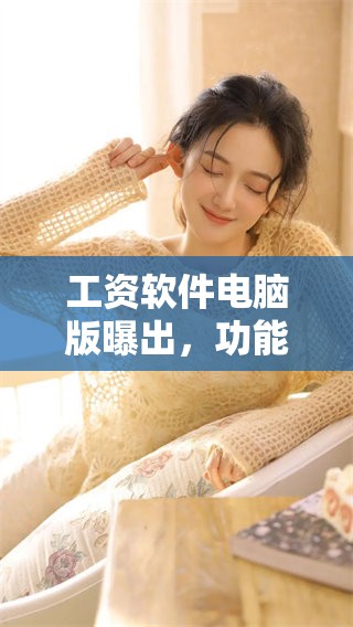 工资软件电脑版曝出，功能详解引发用户关注和讨论