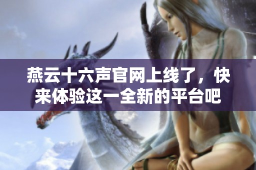 燕云十六声官网上线了，快来体验这一全新的平台吧