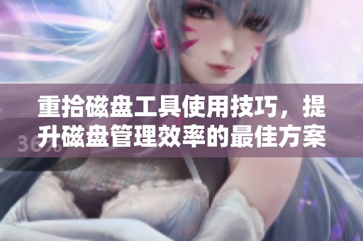 重拾磁盘工具使用技巧，提升磁盘管理效率的最佳方案