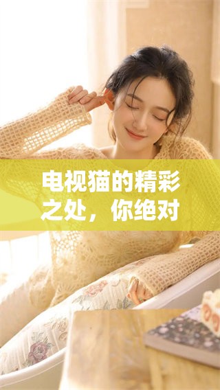 电视猫的精彩之处，你绝对不能错过！快来了解电视猫的最新动态吧！