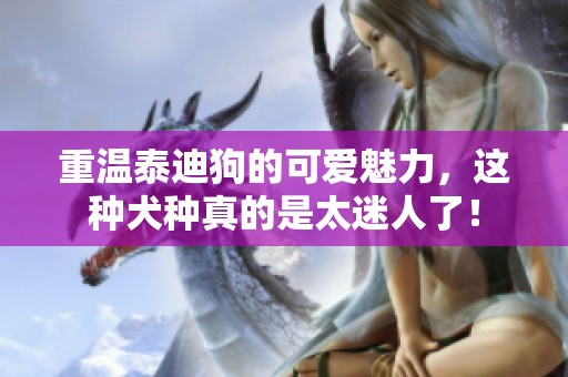 重温泰迪狗的可爱魅力，这种犬种真的是太迷人了！