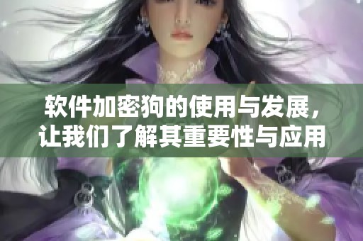 软件加密狗的使用与发展，让我们了解其重要性与应用领域