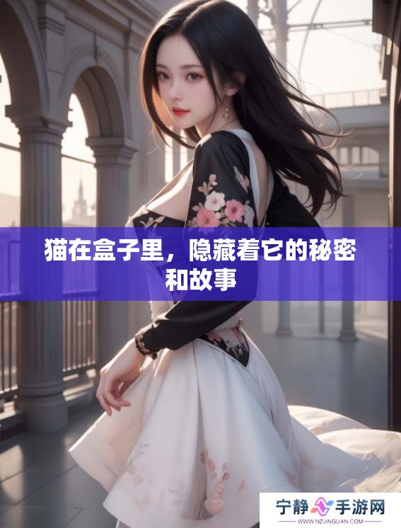 猫在盒子里，隐藏着它的秘密和故事