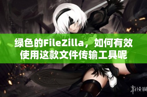 绿色的FileZilla，如何有效使用这款文件传输工具呢