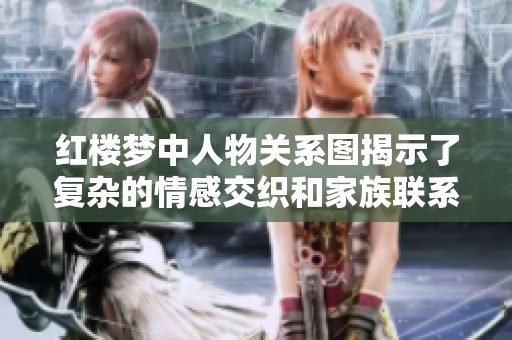 红楼梦中人物关系图揭示了复杂的情感交织和家族联系