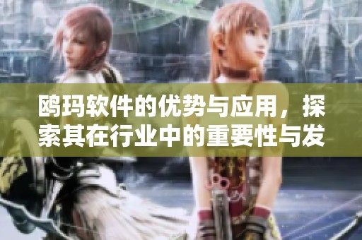 鸥玛软件的优势与应用，探索其在行业中的重要性与发展潜力