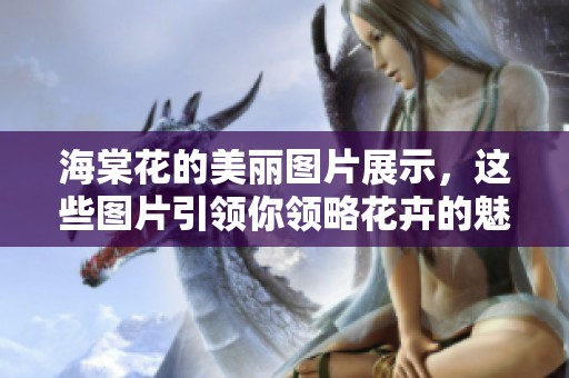 海棠花的美丽图片展示，这些图片引领你领略花卉的魅力