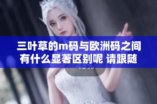 三叶草的m码与欧洲码之间有什么显著区别呢 请跟随我们一起了解一下