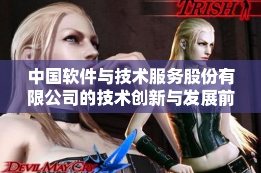 中国软件与技术服务股份有限公司的技术创新与发展前景分析