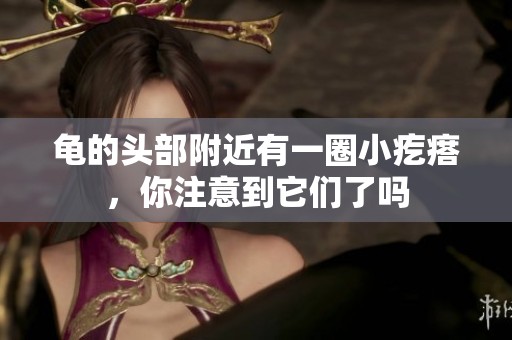 龟的头部附近有一圈小疙瘩，你注意到它们了吗