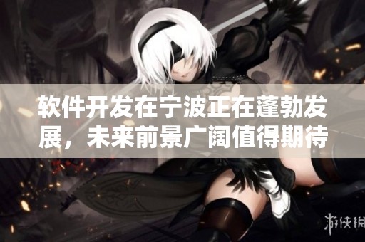 软件开发在宁波正在蓬勃发展，未来前景广阔值得期待。