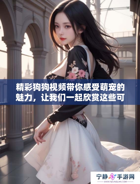 精彩狗狗视频带你感受萌宠的魅力，让我们一起欣赏这些可爱的小家伙吧