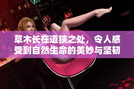 草木长在道狭之处，令人感受到自然生命的美妙与坚韧