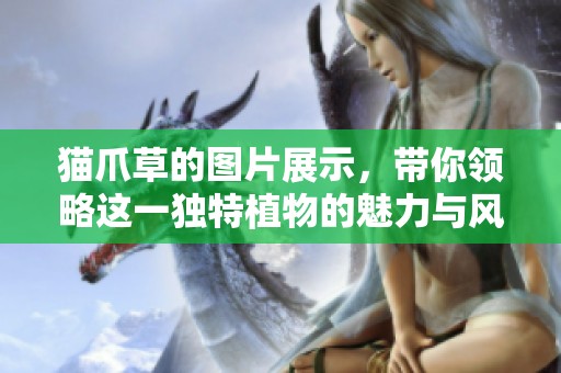 猫爪草的图片展示，带你领略这一独特植物的魅力与风采