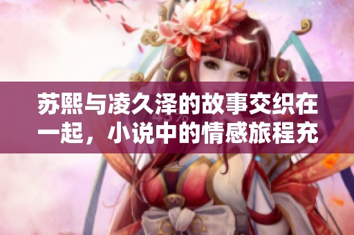 苏熙与凌久泽的故事交织在一起，小说中的情感旅程充满波折与深意