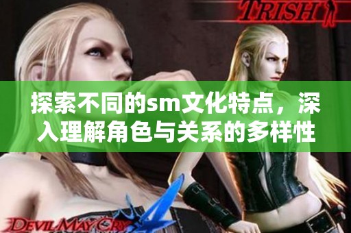 探索不同的sm文化特点，深入理解角色与关系的多样性