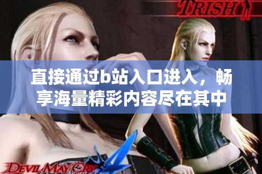 直接通过b站入口进入，畅享海量精彩内容尽在其中