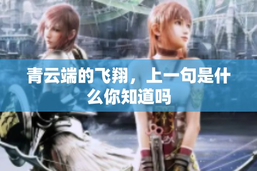 青云端的飞翔，上一句是什么你知道吗