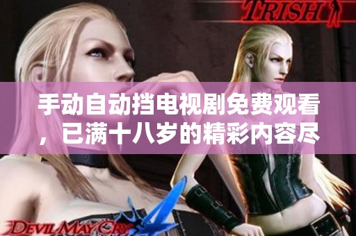 手动自动挡电视剧免费观看，已满十八岁的精彩内容尽在其中！
