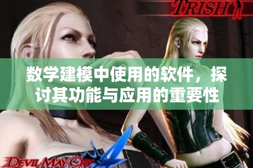 数学建模中使用的软件，探讨其功能与应用的重要性