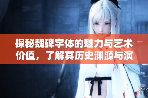 探秘魏碑字体的魅力与艺术价值，了解其历史渊源与演变过程