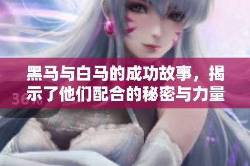 黑马与白马的成功故事，揭示了他们配合的秘密与力量