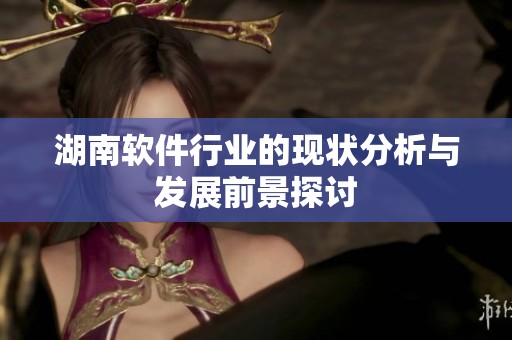 湖南软件行业的现状分析与发展前景探讨