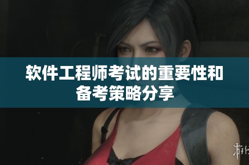 软件工程师考试的重要性和备考策略分享