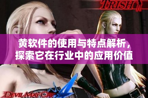 黄软件的使用与特点解析，探索它在行业中的应用价值