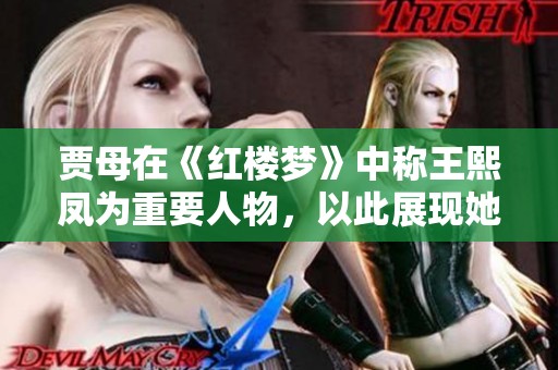 贾母在《红楼梦》中称王熙凤为重要人物，以此展现她的地位与智慧