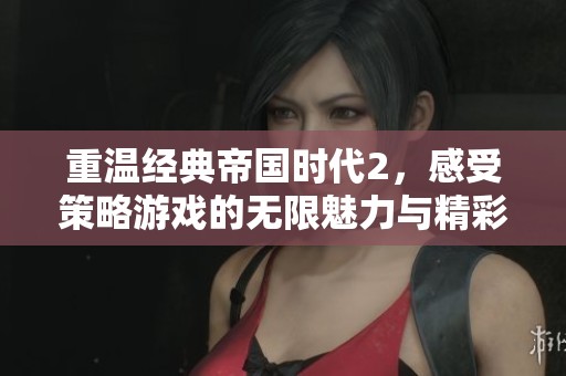 重温经典帝国时代2，感受策略游戏的无限魅力与精彩体验